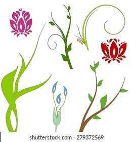 Floral summer elements abstract set. Vector background