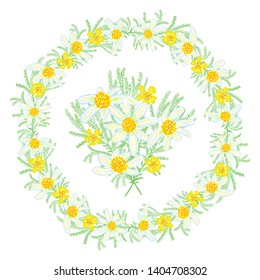 Floral summer elements with cute bouquets of daisies and wildflowers. Stylized wreath of daisies and floral elements. Round floral elements for your greeting cards, design, wedding announcements.