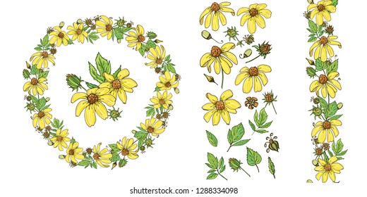 Floral summer elements with cute bunches of rudbeckia. For romantic design, announcements, greeting cards, posters, advertisement. - Векторная графика