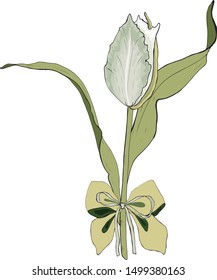 Floral summer elements from tulips. For romantic, spring and easter designs. For the design of announcements, cards, posters, advertising, cosmetics, clothing