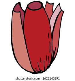 Floral summer elements from tulips. For romantic, spring and easter designs. For the design of announcements, cards, posters, advertising, cosmetics, clothing,.