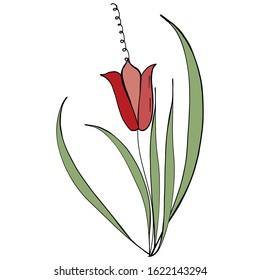 Floral summer elements from tulips. For romantic, spring and easter designs. For the design of announcements, cards, posters, advertising, cosmetics, clothing,.