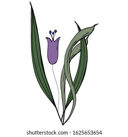 Floral summer elements from tulips. For romantic, spring and easter designs. For the design of announcements, cards, posters, advertising, cosmetics, clothing,.