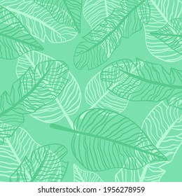 Floral summer lined textured background with palm leaves. Vector illustration 