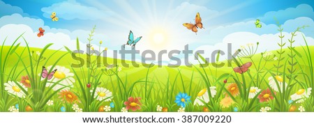 Floral summer or spring landscape, meadow with flowers, blue sky and butterflies
