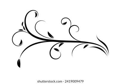 floral swirly design leaves illustration. vector design illustration isolated. eps file easy to use