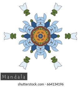 Floral symmetrical geometrical symbol. Vector flower mandala icon isolated on white. Oriental round colored pattern.