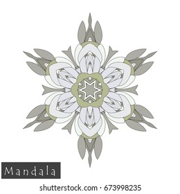Floral symmetrical geometrical symbol. Vector flower mandala icon isolated on white. Oriental round colored pattern. Arabic, Indian, Moroccan, Spain, Turkish, Pakistan, Chinese decorative element.