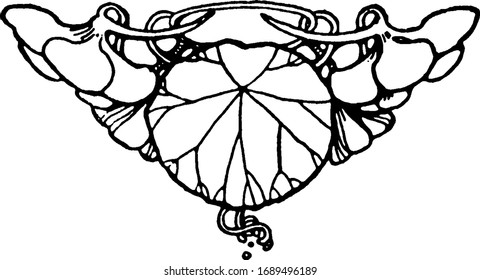 La sastre floral es un simple elemento decorativo, dibujo o grabado de líneas antiguas.