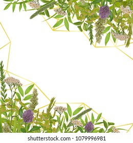 Floral template with geometric gold elements, herb and field flowers in watercolor style. Greenery country botanical template with text place for wedding invite, greeting, birthday card and covers.