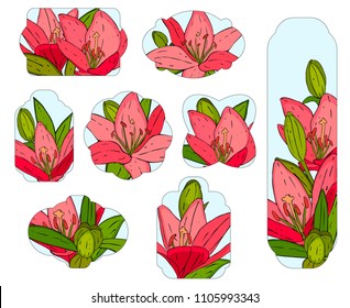 Floral templates with red lilies andleaves for scrapbooking, romantic design, posters, greeting cards, announcements, advertisement, labels
