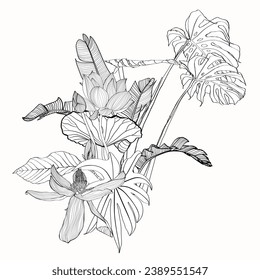 Floral tropical bouquets with line hand drawn palm leaf, garden flowers and insects in sketch style.