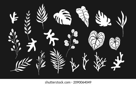 Floral tropical branch of palm in silhouette and line style. Hand drawn elegant exotic leaves for invitation save the date card design. Botanical trendy greenery vector