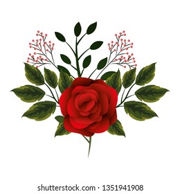 floral tropical cartoon
