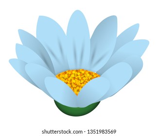 floral tropical cartoon