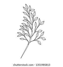 floral tropical cartoon