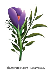 floral tropical cartoon
