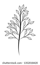 floral tropical cartoon