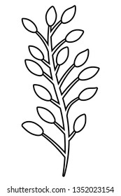 floral tropical cartoon