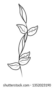floral tropical cartoon