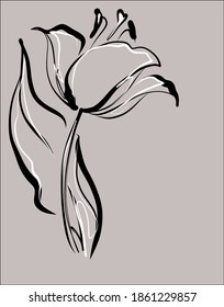 Diseño de patrones de tulipanes florales. Dibujo gráfico vectorial. 