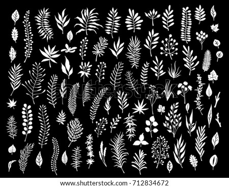 floral twigs branches collection on black background
