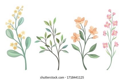 Floral Twigs and Branches with Tender Flower Buds and Leaves Vector Set