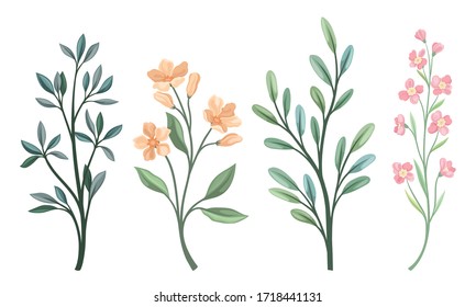 Floral Twigs and Branches with Tender Flower Buds and Leaves Vector Set