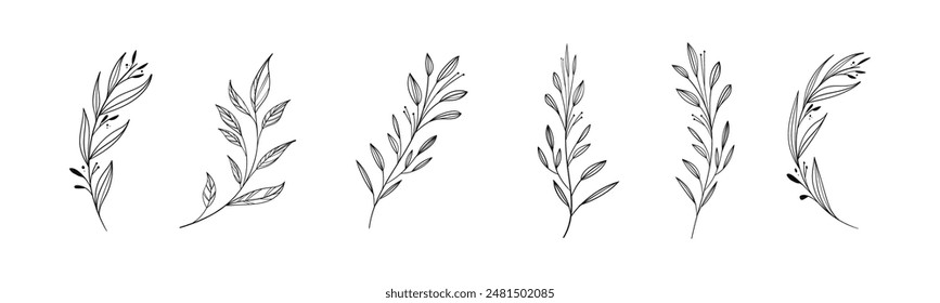 Juego de bocetos de Vector de ramitas florales. Rama con colección de hojas.