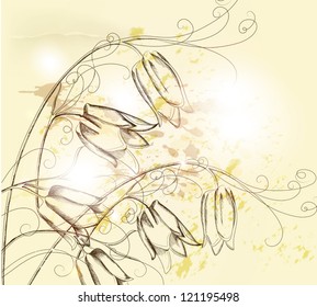 Floral vector