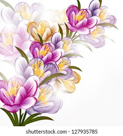 Floral vector