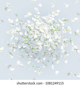 Floral vector art - luxurious white Hydrangea flower and Apple blossom composition with flying petals for 8 March, wedding, Valentine's Day,  Mother's Day, sales and other seasonal events.