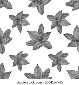 Blumenvektor, schwarz-weißer Hintergrund. Lineare Lilienblütenlinie nahtlose Muster für das Textildesign. Vektornahtloses Schwarz-Weiß-Blumenmuster.