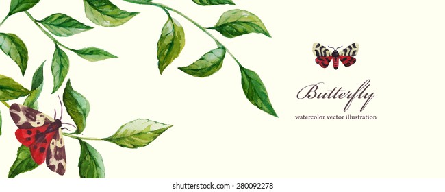 floral vector background with butterfly