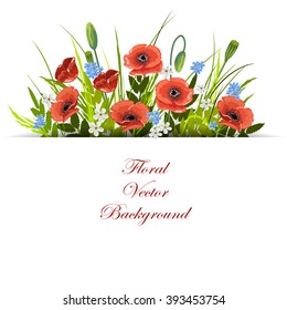 Floral vector background. Composition of poppies, chamomiles, forget-me-not flowers, green leaves and herbs. White  banner with place for your text.