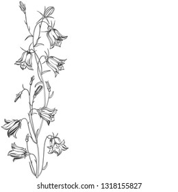 Floral vector background with flowers bluebells and place for text. Invitation, greeting card or an element for your design. Vertical composition on a white background.