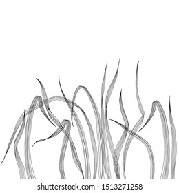 Floral vector background with grass and place for text on white. Invitation, greeting card or an element for your design. Horizontal composition.