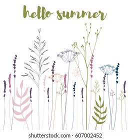 Floral vector background and hand drawn  wild flowers  herbs   grasses Thin delicate lines silhouettes  fennel  dill  lavender   other plants in pastel colors white background 
