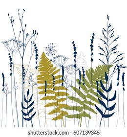 Floral vector background with hand drawn lavender, fennel  flowers, wild herbs and grasses and fern leaves .Thin delicate lines silhouettes  in  blue and green  on white background 