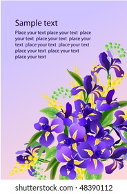 Floral vector background with irises