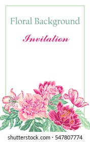 Floral vector background with peonies and tulips in red and pink colors.