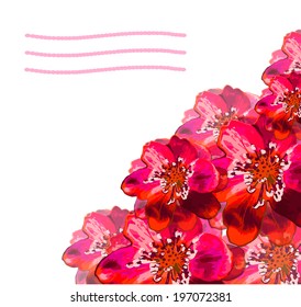 Floral vector background with place for text.