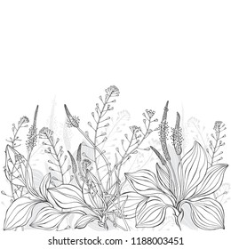 Floral vector background with shepherd's purse, plantain and  place for text on white. Invitation, greeting card or an element for your design.