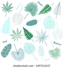 Floral vector background with tropical plants, monstera, fern, Polypodióphyta