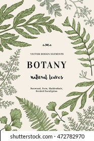 Floral vector background. Vintage invitation with various leaves. Botanical illustration.  Fern, seeded eucalyptus, maidenhair. Engraving style. Design elements. 