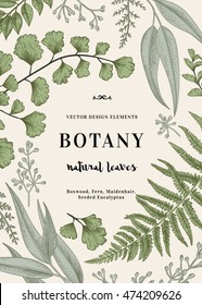 Floral vector background. Vintage invitation with various leaves. Botanical illustration.  Fern, seeded eucalyptus, maidenhair. Engraving style. Design elements. 