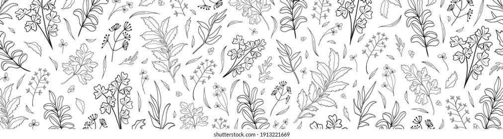 Floral vector banner with leaves, plants for greeting card. Abstract natural elements in doodle style. Silhouette of plant. Print for holiday background, template. Minimalistic, trendy design.