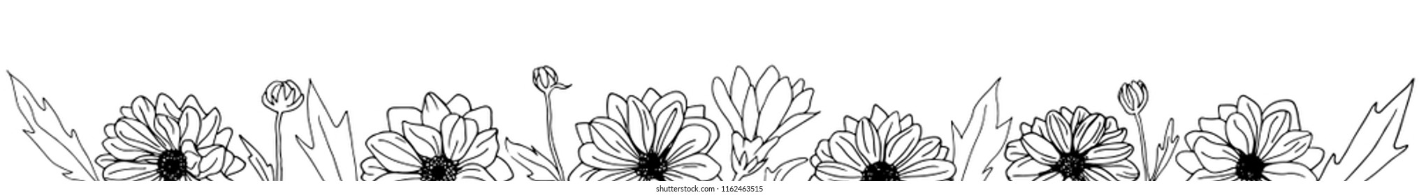 Floral vector border. Hand drawn chrysanthemum flowers, branches, leaves isolated.  Chrysanthemum Flower. Decor for design banner website, card, wedding invitation, greeting, letter, poster, etc.