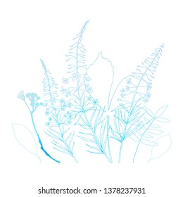 Floral vector botanical illustration with different hand drawn leaves, wild flowers and plants with watercolor texture in light pink and blue on white background