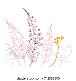 Floral vector botanical illustration with different hand drawn leaves, wild flowers and plants
